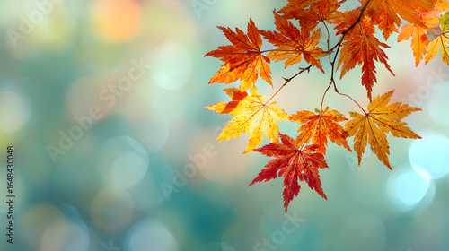 web banner design for autumn season and end year activity with red and yellow maple leaves with soft focus light and bokeh background