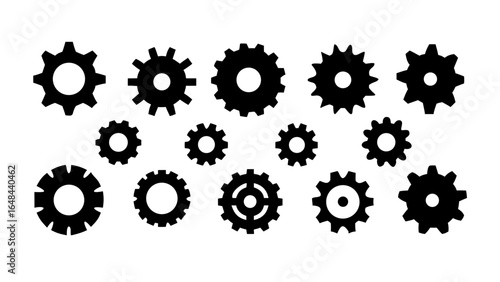 Collection of assorted seashells ocean beach