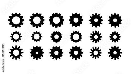 Collection of assorted seashells variety beach