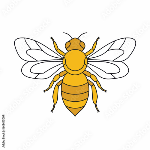 Geometric Honeybee Illustration with Angular Wings and Striped Abdomen