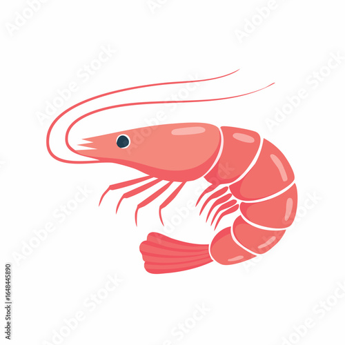 A detailed illustration of a cooked shrimp, showcasing its pink color and intricate body structure.