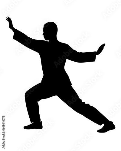 Dynamic silhouette of Tai Chi master practicing martial arts, graceful movement and balance training