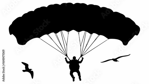 Silhouette of a skydiver with a parachute accompanied by two birds in a white background scene view