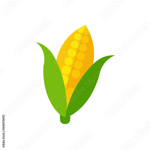 Vibrant ear of corn with green husks symbolizing healthy harvest and organic agriculture
