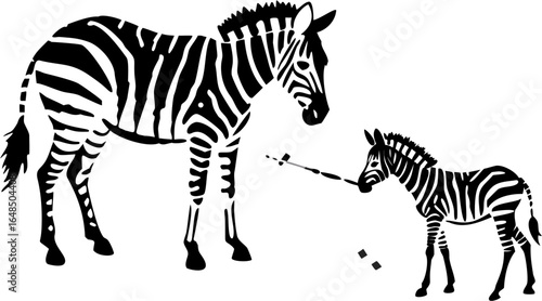 Illustration of two zebras one adult and one baby interacting with a stick in black and white style silhouette