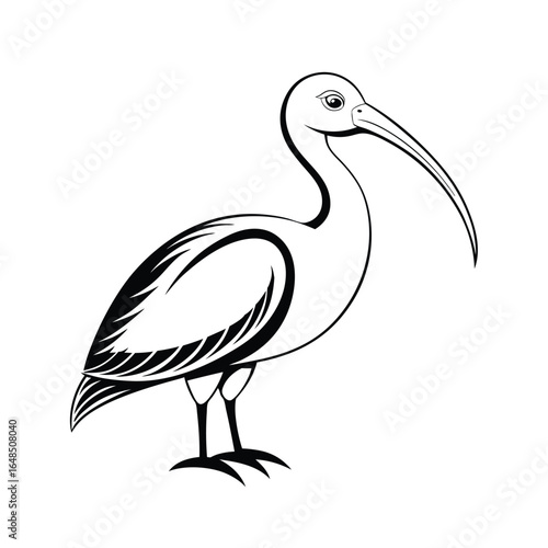 Exquisite ultra detailed line art illustration of a scarlet ibis bird in flight with elegant curving lines