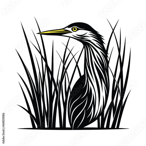 Elegant vector illustration of a bittern bird concealed within tall reeds accented by a subtle thin vertical line composition