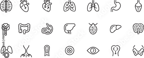 Set of Human Internal Organ Line Art Icons brain heart