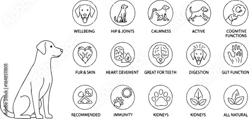 Dog Health and Wellbeing Icon Set | Outline Style for Pet Food Packaging and Veterinary Marketing