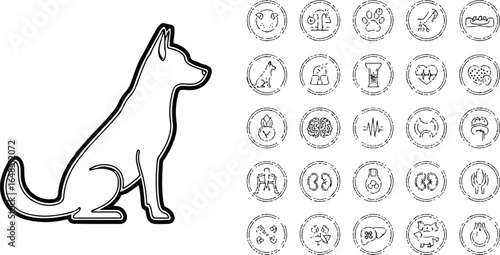 Dog Silhouette Beside Organ Icon Set | Pet Anatomy and Veterinary Medicine Illustration for Educational and Health Content