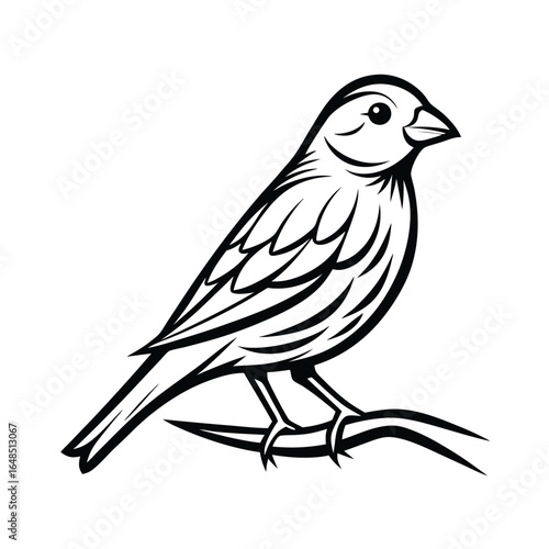 Detailed illustration of a vibrant canary bird gracefully perched on a delicate tree branch with precise outline work
