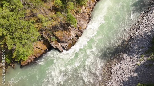 Stunning Aerial View of Rushing River Rapids Through a Vibrant Green Forest in British Columbia