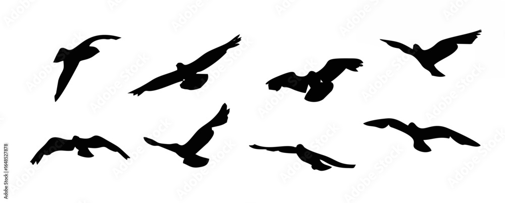 Fototapeta premium Flying bird silhouette. Birds...