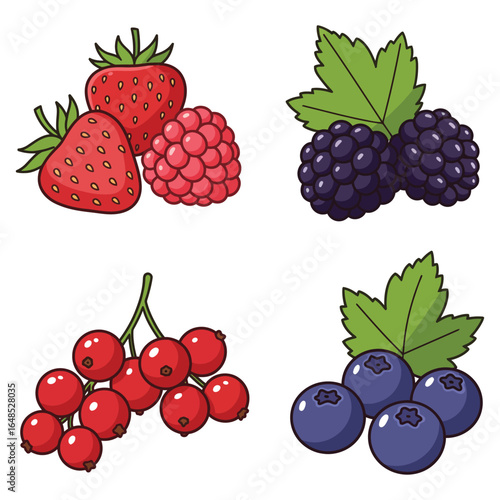 Assorted Berry Collection Strawberry Raspberry Blackberry Red Currant and Blueberry Illustration