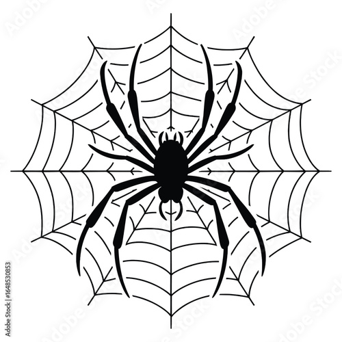 Black spider silhouette on cobweb isolated on white background