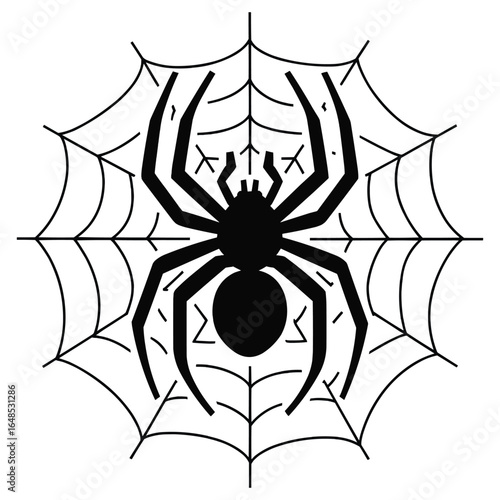 Black spider silhouette on cobweb isolated on white background