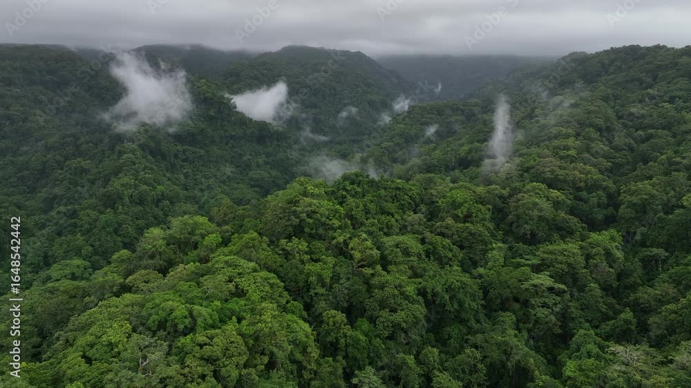 Early morning aerial views over the Kolombangara Rainforest in the Solomon Islands Early morning aerial views over the Kolombangara Rainforest in the Solomon Islands