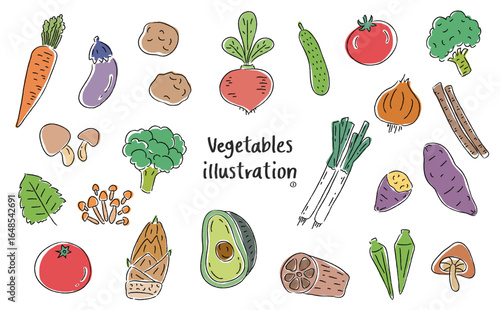 手描きの野菜セット