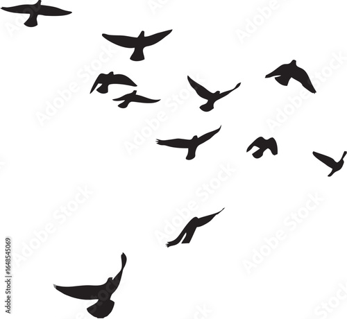 Pigeons Flying Silhouettes.eps