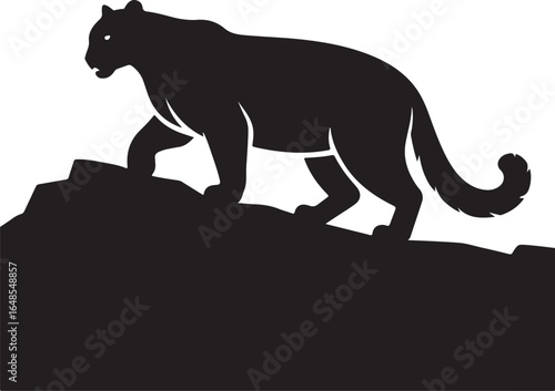 Powerful panther stalking silently across rocky terrain