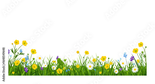 spring flowers border