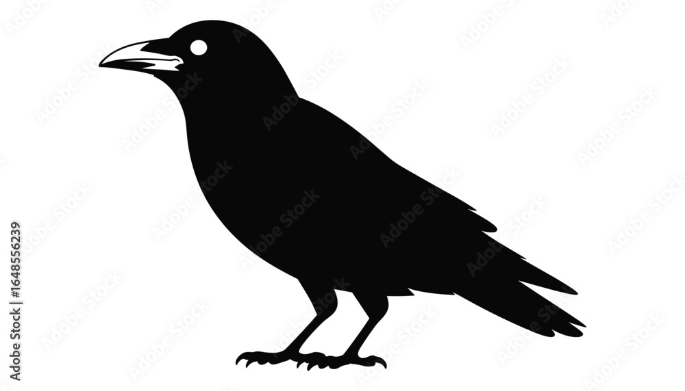 Fototapeta premium Black Crow Silhouette Isolated Bird Vector Illustration