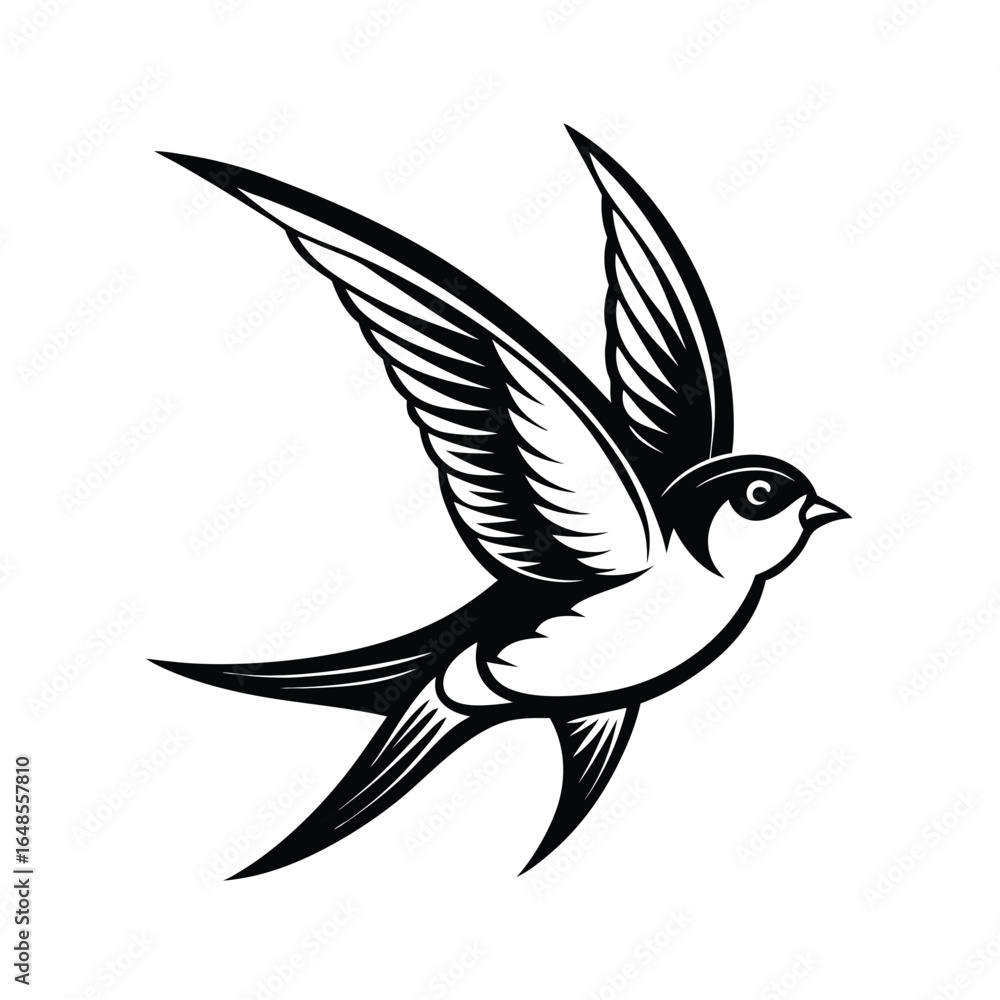 Fototapeta premium Elegant barn swallow captured in mid flight with its wings fully extended and detailed