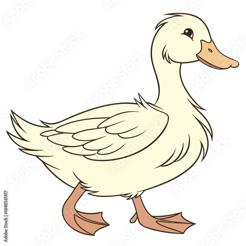 Duck White Background