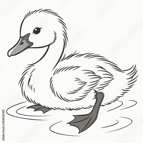 Duck White Background