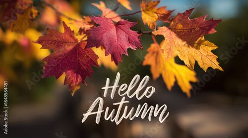 Colorful autumn maple leaves with handwritten text saying “Hello Autumn”
