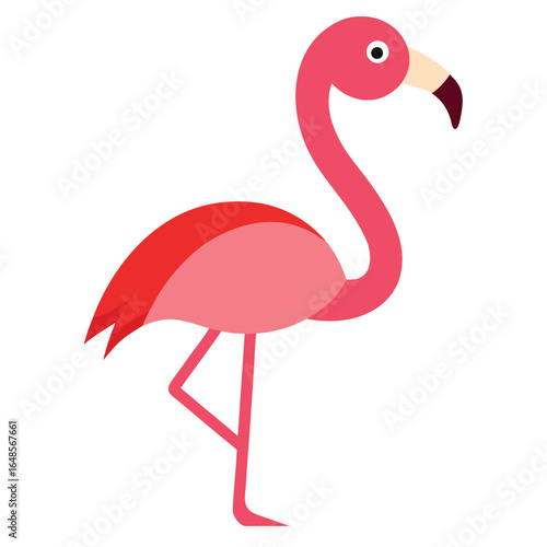 Flamingo White Background