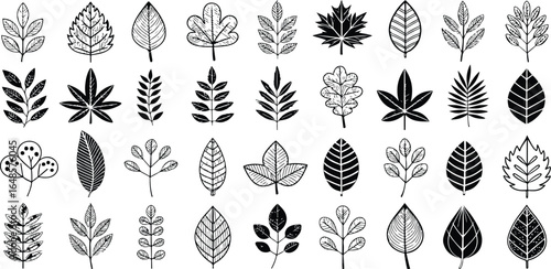 Collection of Various Leaf Illustrations in Black and White Depicting Botanical Variety and Stylized Foliage with Artistic Detail