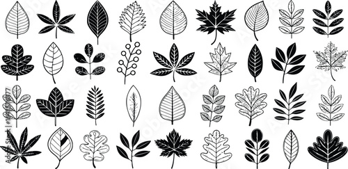 Diverse Collection of Hand Drawn Leaf Illustrations Black and White Botanical Variety for Creative Projects and Designs