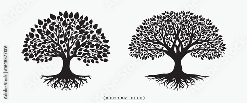 Two trees with roots and leaves in black silhouette on white background