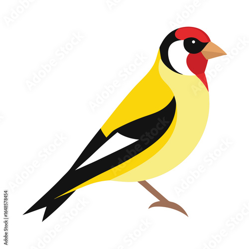 Adobe Illustrator Artwork