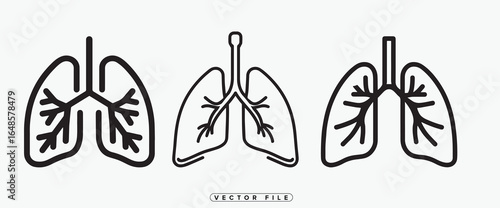 Human lungs anatomy illustration with trachea and bronchi in detailed outline