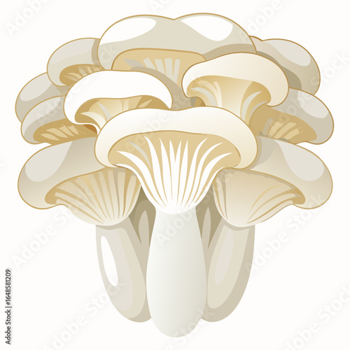 mushroom isolated on white