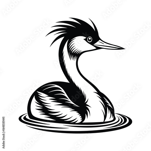 Elegant line art depicting a great crested grebe swimming gracefully in smooth water