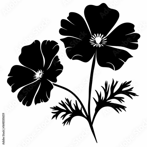 two poppy flowers silhouette