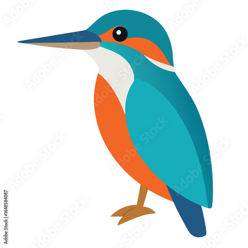 Kingfisher White Background