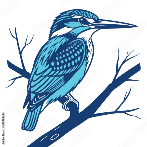 Kingfisher White Background
