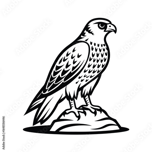 Alert hawk perched on a rock depicted in a clean line art style on a white background
