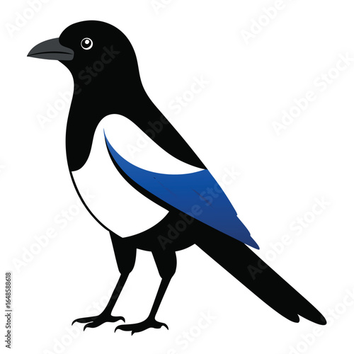 Magpie White Background