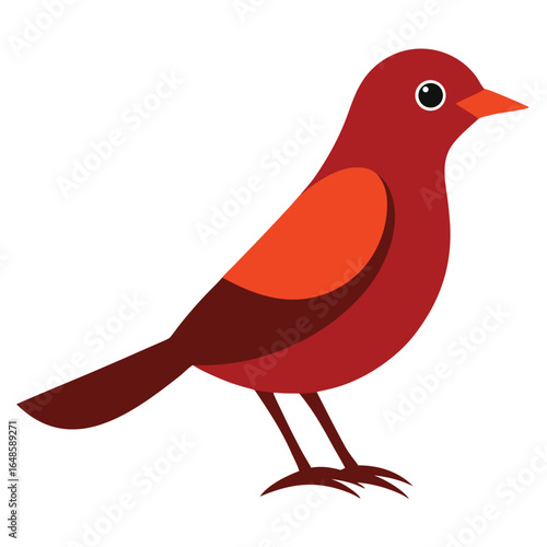 Nightingale White Background