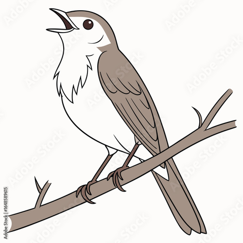 Nightingale White Background