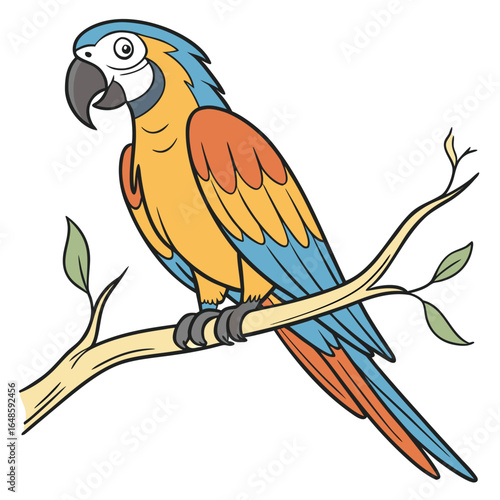 Parrot White Background