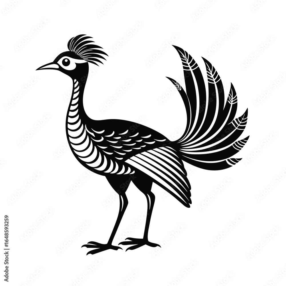 Fototapeta premium Elegant lyrebird line art illustration of a bird standing gracefully on a white background