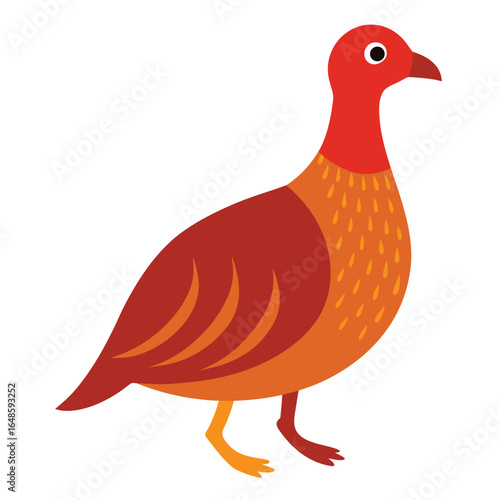 Partridge White Background