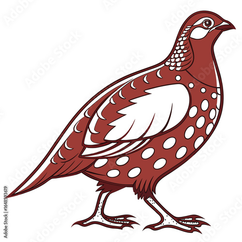 Partridge White Background