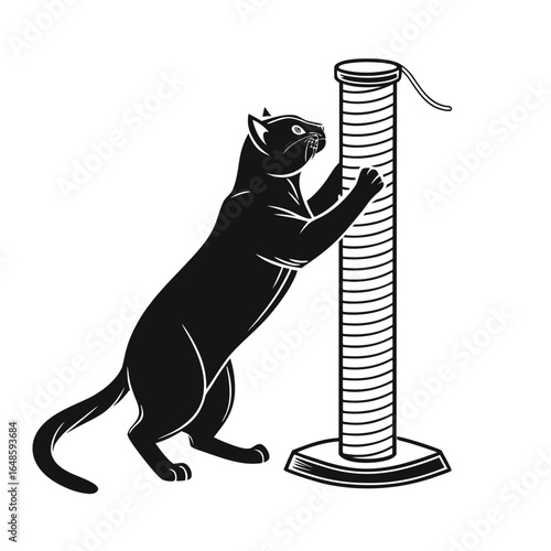 A black cat playing with a ball and holding a coin next to a mouse illustration